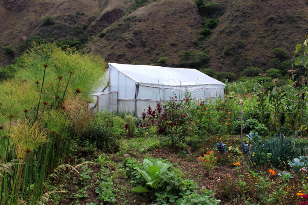 SEEDS Help to Complete Finca-Sagrada Dream