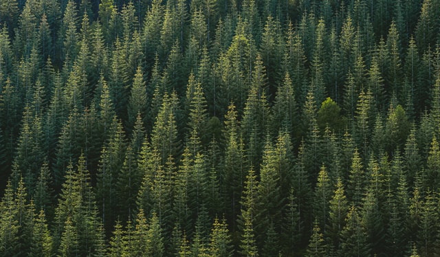 SEEDS: A Regenerative Financial System