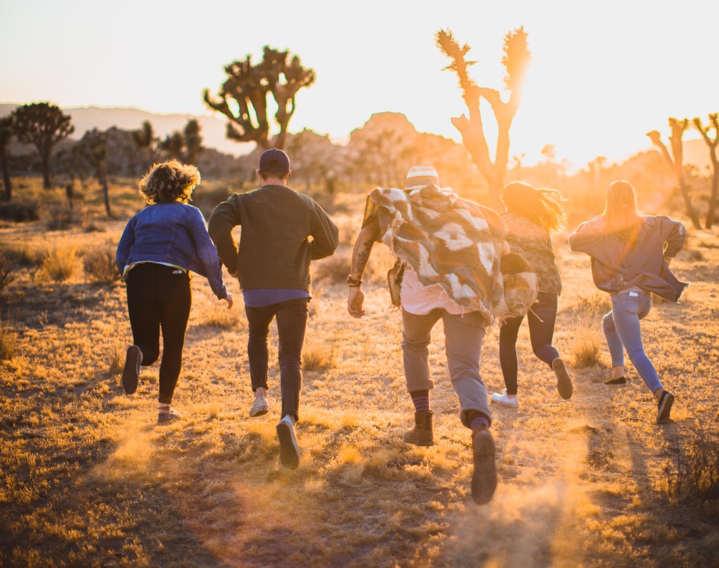 Hypha-Owned Seeds Sale Price Agreement