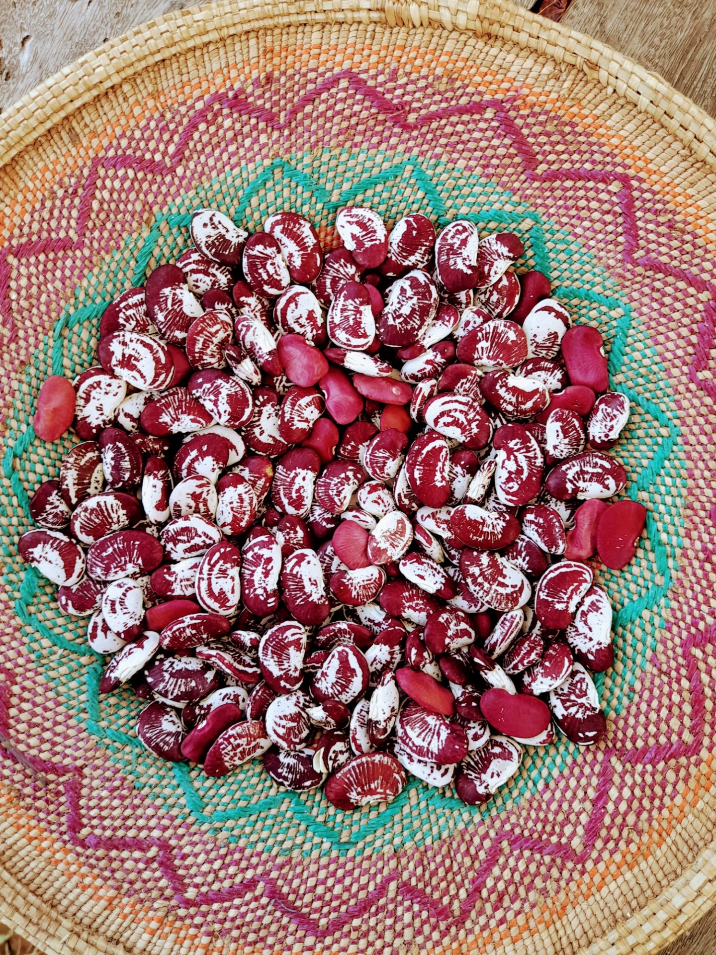 SEEDS Vision Stories: Inspiring a Path of Plenty