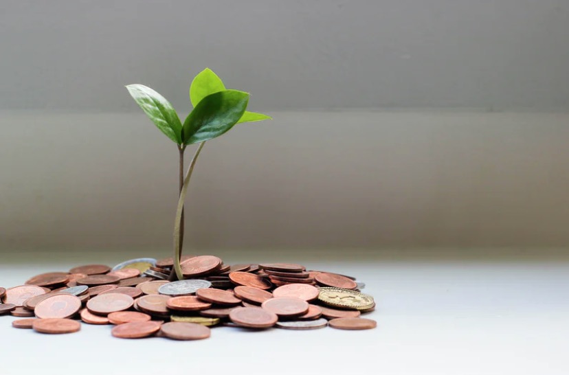 Making Sense of SEEDS