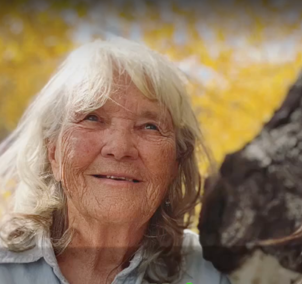 Describing SEEDS Economy to my 80 year-old Mom
