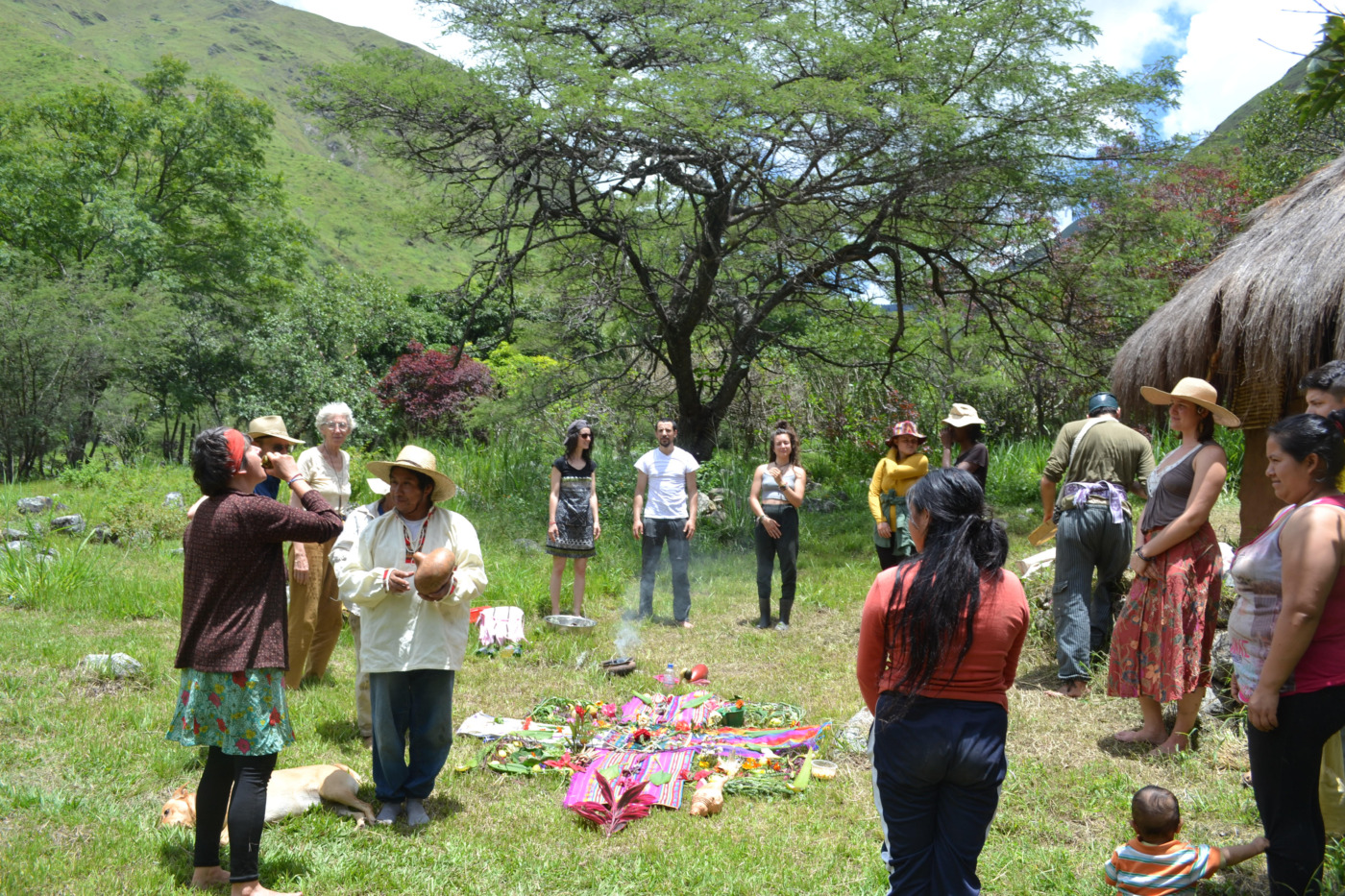 Seeds Economy in Vilcabamba: An Alliance Empowering Entrepreneurs