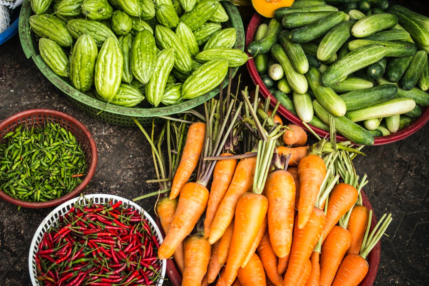 Approaching SEEDS as a Farmer Who Doesn’t like Computers
