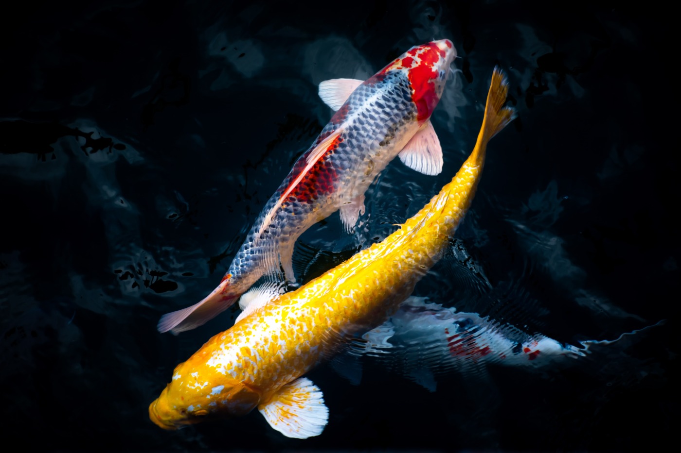Photo by Sergio Capuzzimati for Unsplash