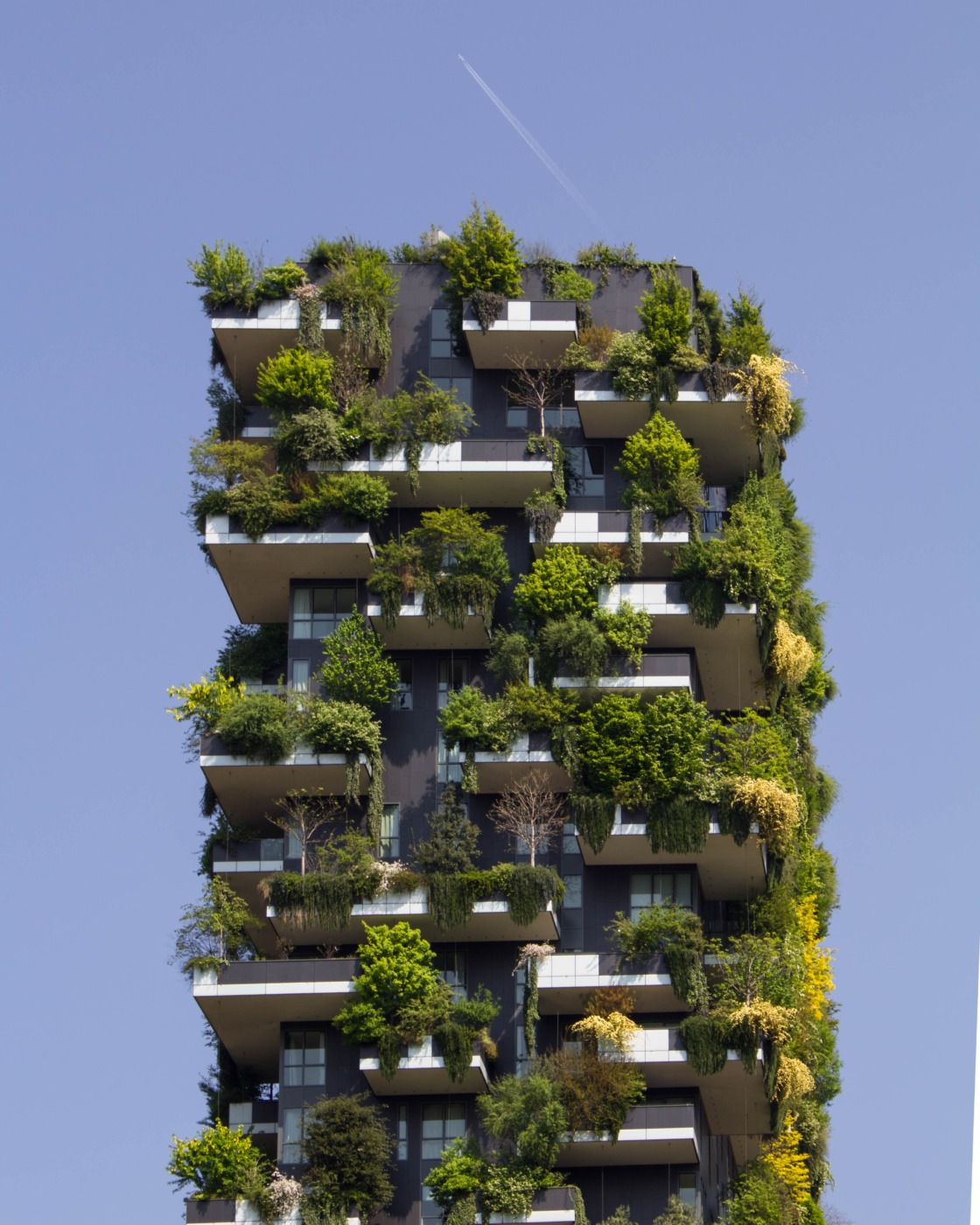 SEEDS – New Global Green Deal